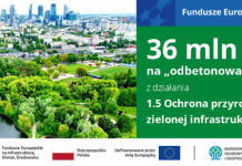Ponad 36 mln zł na zazielenianie sześciu polskich miast