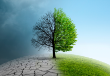 Polityka klimatyczna nieefektywna w walce ze zmianami