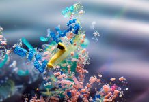 Mikroplastik przenika nawet 2 km pod powierzchnię oceanu