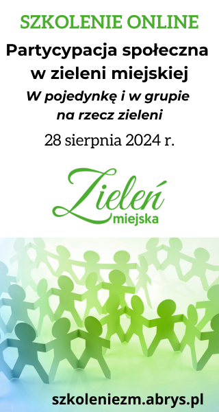 ad3a gosp i samorząd partycypacja webinar [06.08-28.08.24]