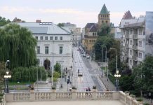 Utrzymanie zieleni miejskiej w dobie zmian klimatu. Standardy i dobre praktyki
