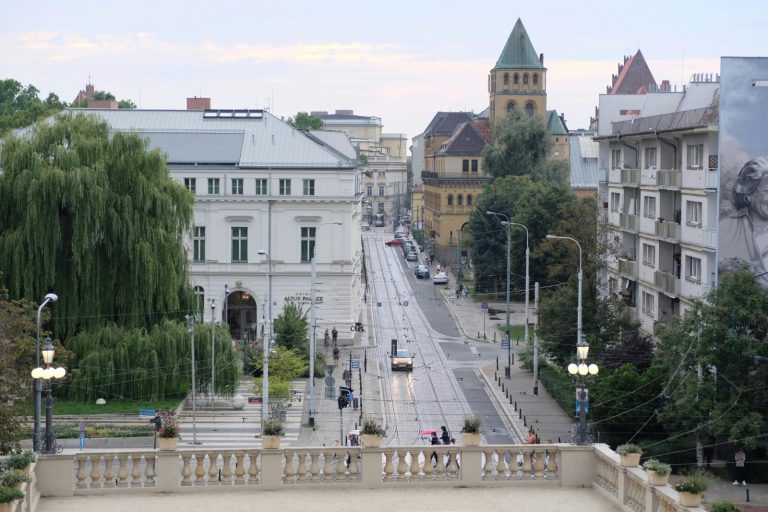 Utrzymanie zieleni miejskiej w dobie zmian klimatu. Standardy i dobre praktyki