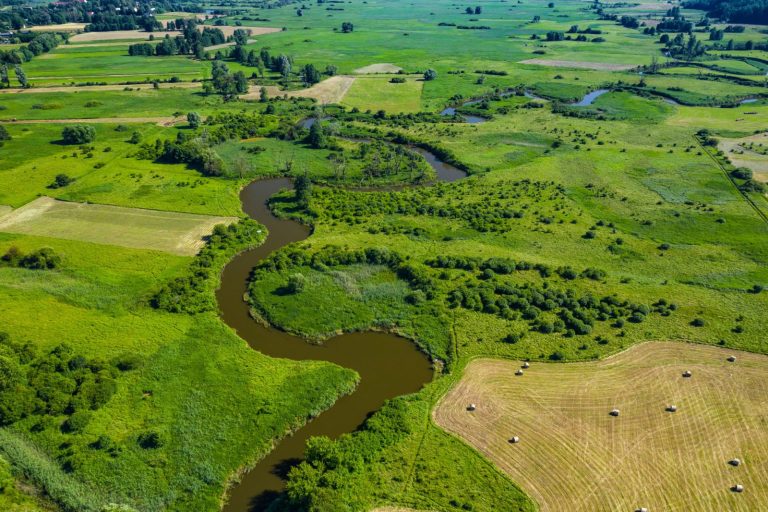 Ochrona wód pod państwowym nadzorem