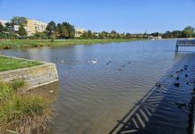 Prace przy zaporze Zbiornika Witoszówka dopiero jesienią