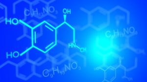 Trwają badania dzięki którym dowiemy się czy rośliny pomogą pozbyć się wiecznych chemikaliów