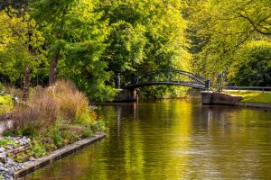 Hortus Botanicus w Amsterdamie