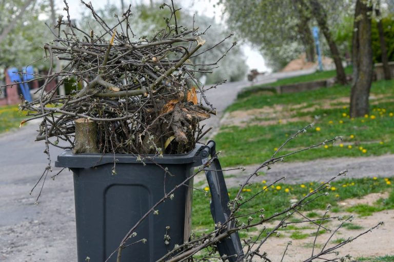 Tereny zieleni miejskiej a odpady