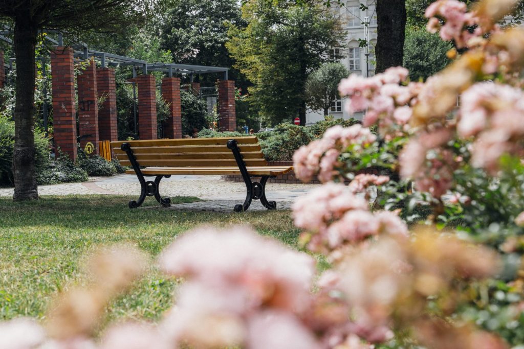 Gliwice stawiają na zieleń i zapowiadają utworzenie kolejnego parku kieszonkowego