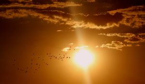 Klimatolog IMGW-PIB: wrzesień może być jednym z najcieplejszych od początku pomiarów