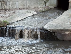Bez pokrywy śnieżnej i opadów, stan wód powierzchniowych będzie nadal opadał