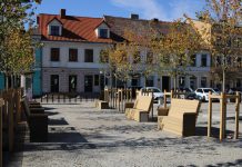 Konin zadecydował: zamiast betonu – zieleń