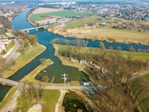 Biologiczne aspekty retencji wód w obszarach zurbanizowanych