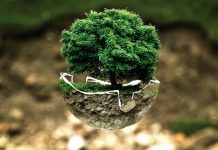 MKiDN dostrzega znaczenie zmian klimatycznych