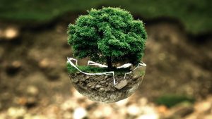 MKiDN dostrzega znaczenie zmian klimatycznych