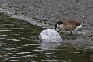 Czysta Wisła: Wolontariusze wyłowili łącznie 480 ton śmieci