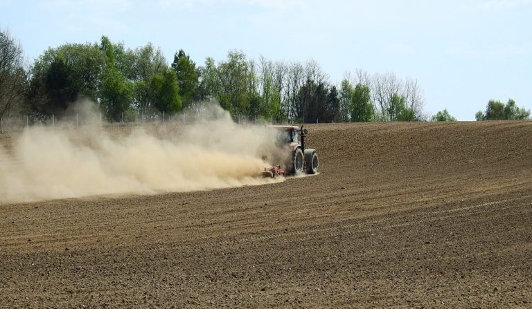 Aplikacja jako narzędzie do szacowania strat suszowych