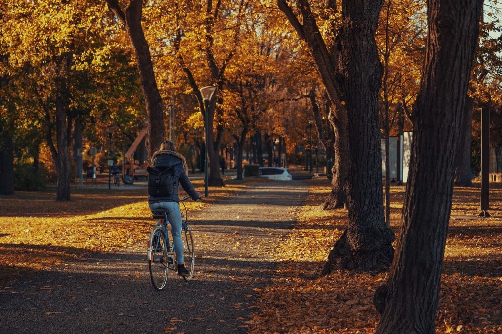 Rowery elementem walki z wykluczeniem komunikacyjnym?