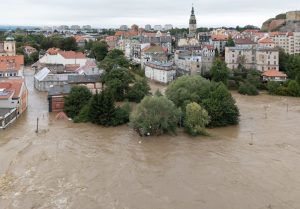 Siła wyższa a usunięcie drzew lub krzewów