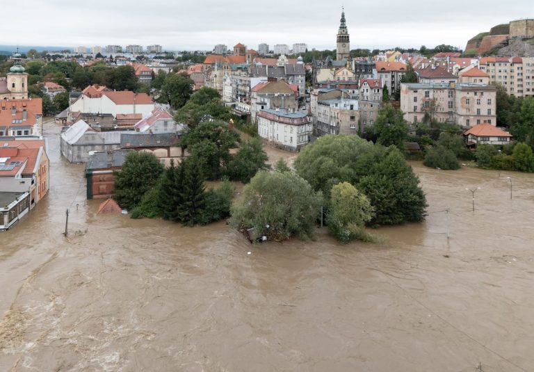 Siła wyższa a usunięcie drzew lub krzewów