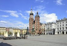 Naukowcy wskazali, gdzie na Rynku Głównym w Krakowie można posadzić nowe drzewa