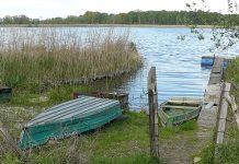 Umorzono 艣ledztwo ws. zanieczyszczenia Jeziora Kierskiego w Poznaniu