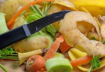 Bioodpady – surowiec na wagę złota