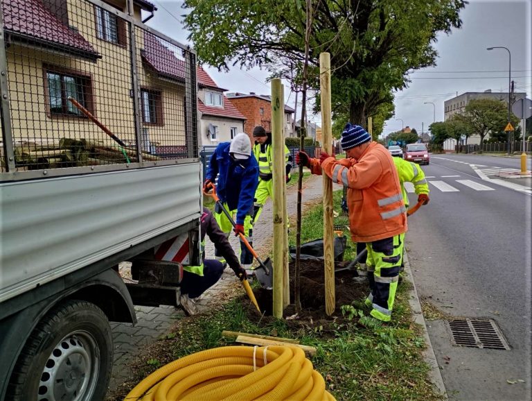 Trwa intensywne zazielenianie Gliwic