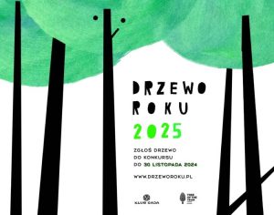 Drzewo Roku 2025 – zgłoszenia do końca listopada