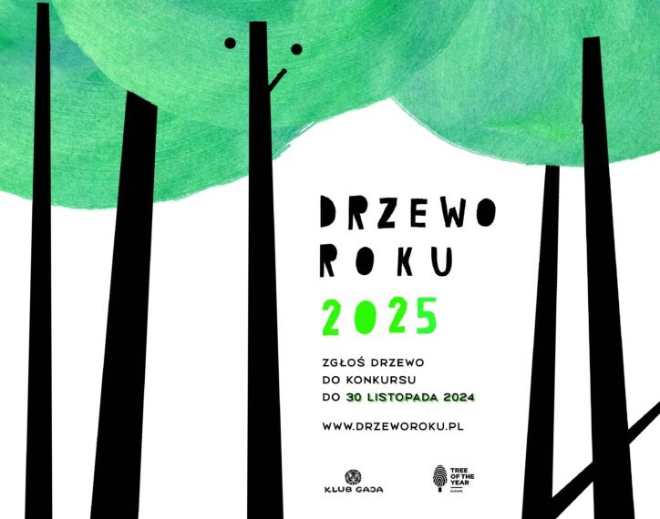 Drzewo Roku 2025 – zgłoszenia do końca listopada