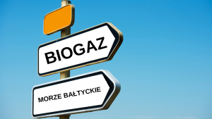 Wspólna strategia rozwoju rozwiązań biogazowych dla regionu Morza Bałtyckiego