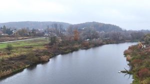 WWF zaniepokojone stanem Starorzecza Wisły w Krakowie