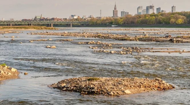 Susze, pożary, jałowienie gleb. ONZ ostrzega przed niedoborami wody