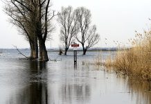 Odtwarzanie siedlisk ichtiofauny i ich ochrona z dofinansowaniem w “Ujściu Warty”