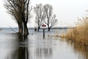 Odtwarzanie siedlisk ichtiofauny i ich ochrona z dofinansowaniem w 