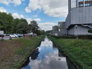 Rektor UŚ: pierwsze założenia urbanistyczne Zielonej Strefy Nauki w Katowicach są gotowe