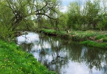 53 mln zł na ochronę bioróżnorodności Podlasia