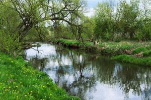 53 mln zł na ochronę bioróżnorodności Podlasia