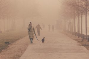 Ekspert: wyludniania się średnich miast nie da się zatrzymać, ale można je łagodzić