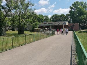 Nowi podopieczni w Śląskim Ogrodzie Zoologicznym