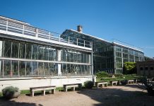Palmiarnia Poznańska zostanie przebudowana