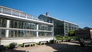 Palmiarnia Poznańska zostanie przebudowana