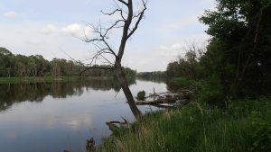 Biejat: bezpieczeństwo Polski i ochrona dzikiej przyrody nie stoją ze sobą w sprzeczności
