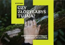 Miasto a mokradło w Muzeum Sztuki Współczesnej w Warszawie