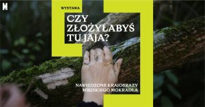 Miasto a mokradło w Muzeum Sztuki Współczesnej w Warszawie