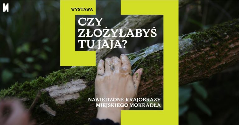Miasto a mokradło w Muzeum Sztuki Współczesnej w Warszawie