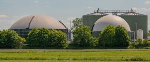 Frakcja bio łakomym kąskiem