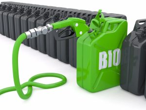 Komisje sejmowe pozytywnie o projekcie nowelizacji ustawy biopaliwach