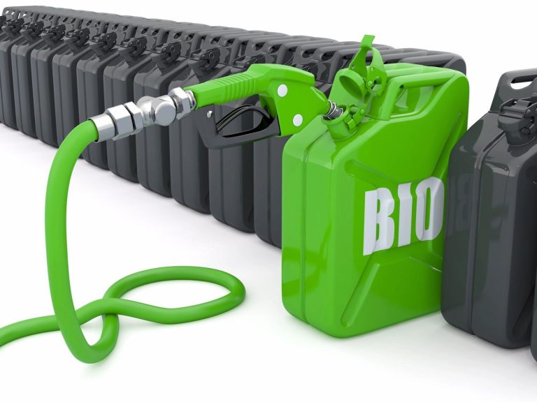 Komisje sejmowe pozytywnie o projekcie nowelizacji ustawy biopaliwach