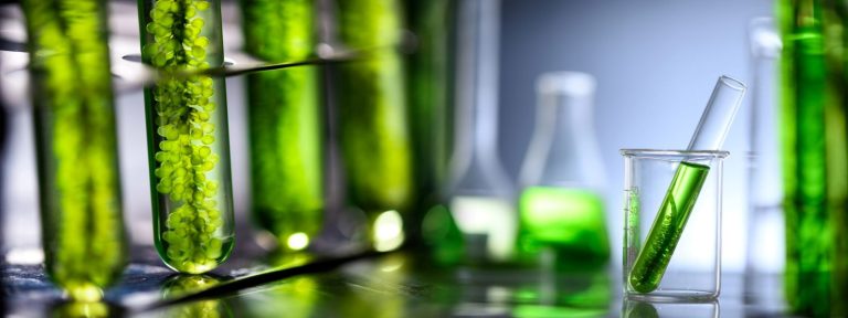 Komisje sejmowe tym razem negatywnie o projekcie nowelizacji ustawy biopaliwach