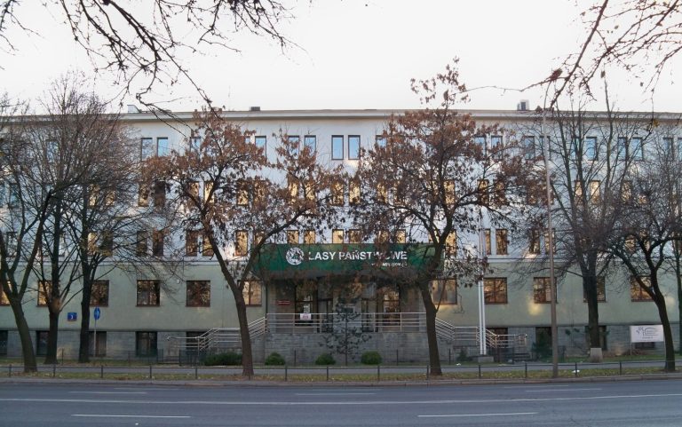 Wydatki Lasów Państwowych pod lupą MKiŚ i NIK. Czy 500 mln zł wydano bezzasadnie?